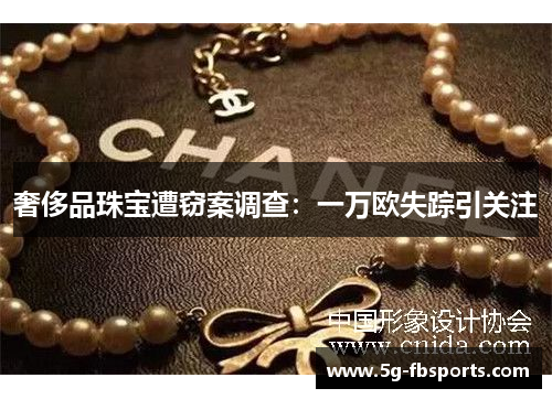 奢侈品珠宝遭窃案调查：一万欧失踪引关注